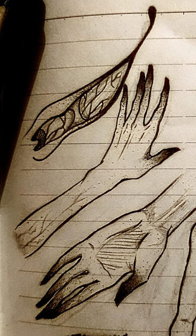 Headshot/shoulders up reference (drawn be me)